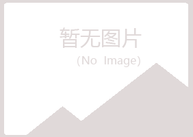 阳泉城冰夏化学有限公司